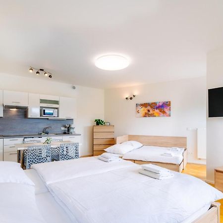 Horsky Apartman Temari 12 Klinovec Loucna pod Klinovcem Exterior photo