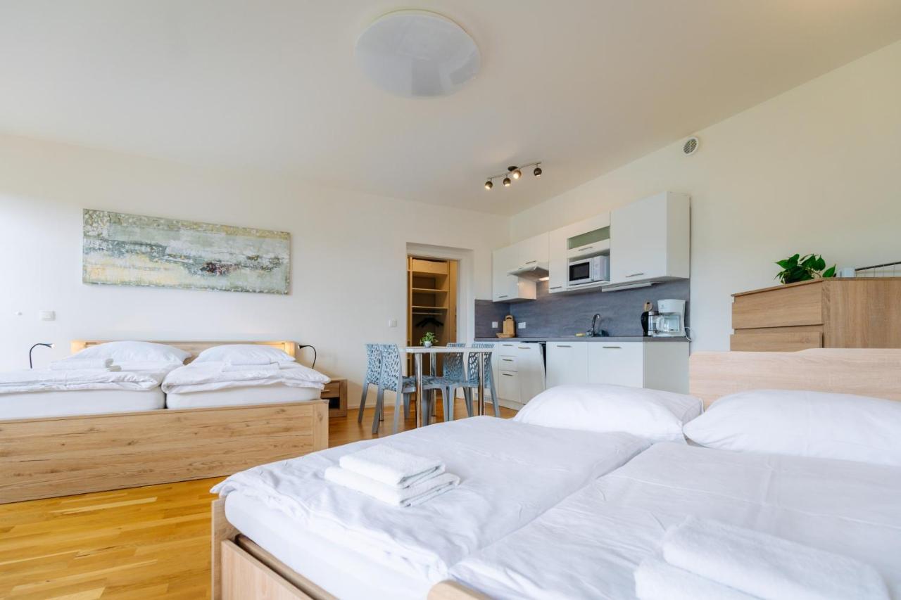 Horsky Apartman Temari 12 Klinovec Loucna pod Klinovcem Exterior photo